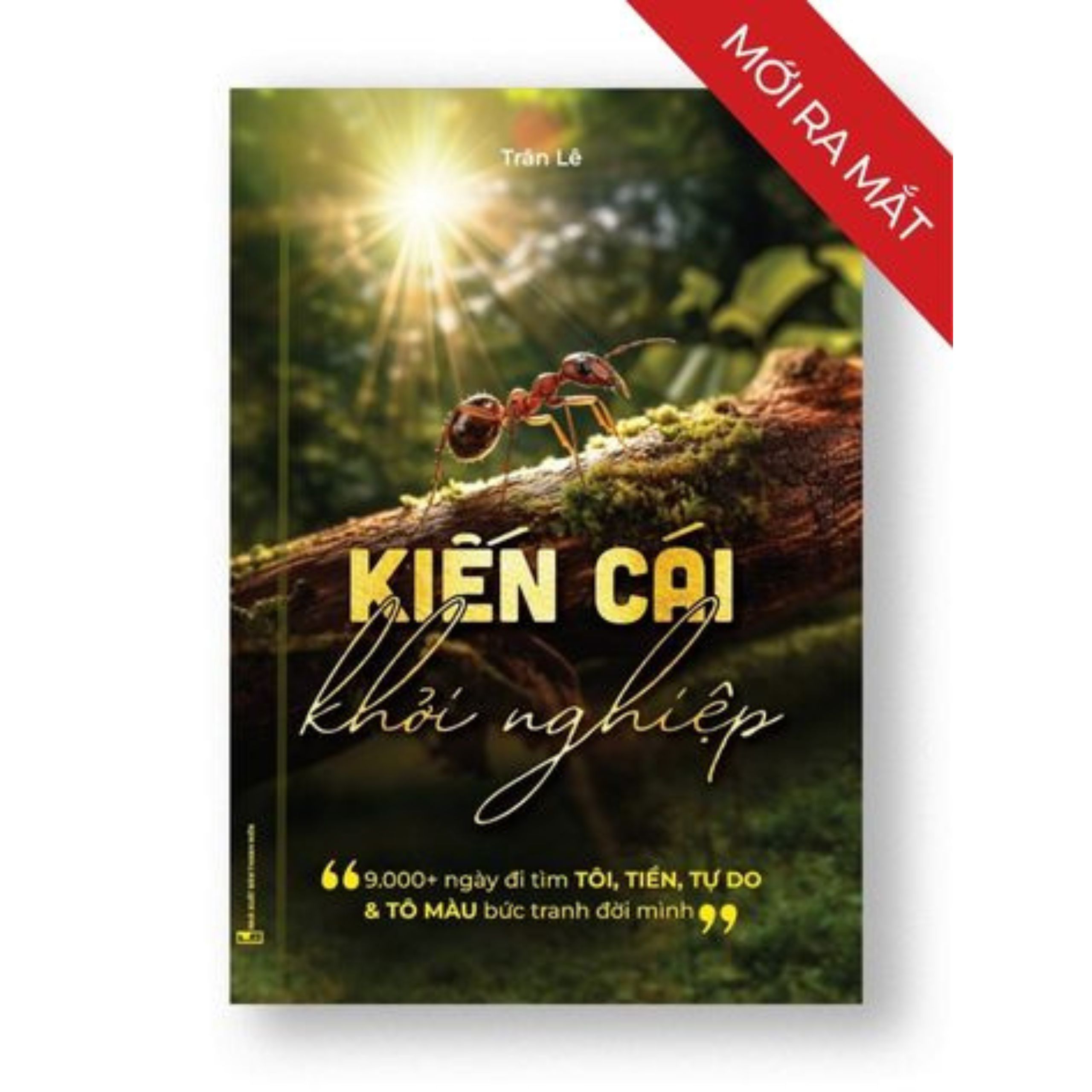 kiến cái khởi nghiệp