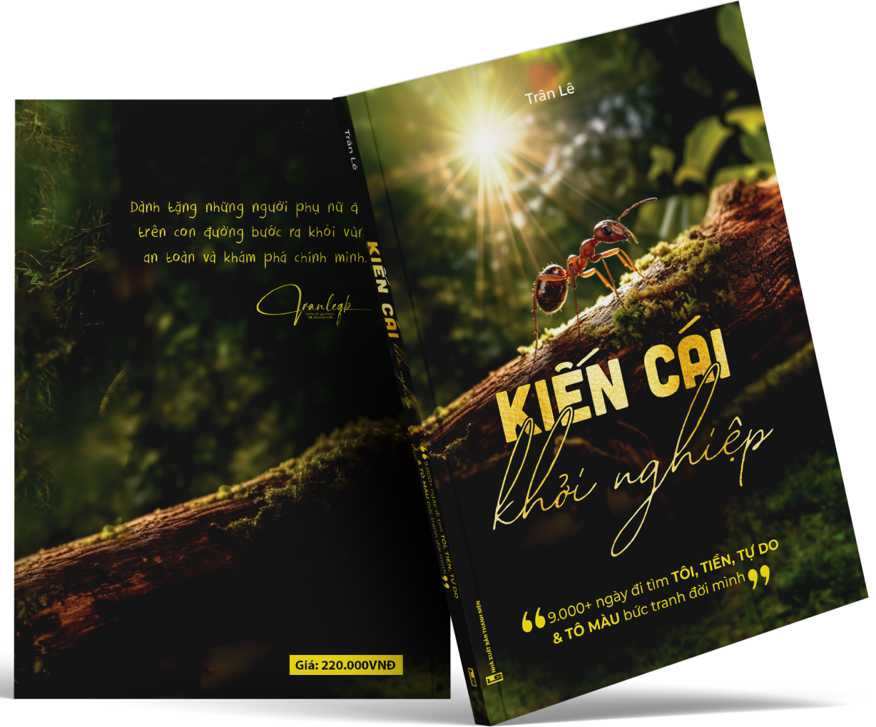 Kiến cái